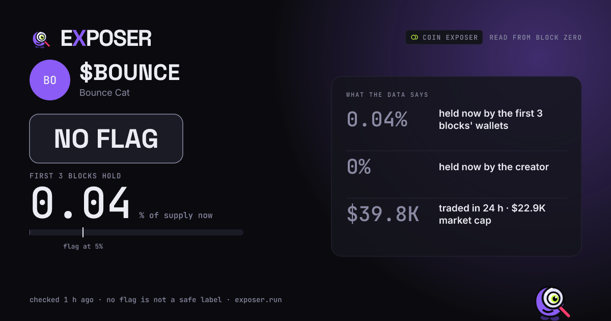 Coin Exposer card for $BOUNCE: NO FLAG