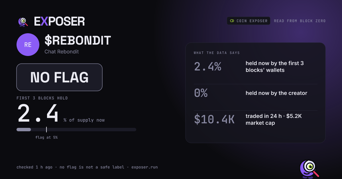 Coin Exposer card for $REBONDIT: NO FLAG